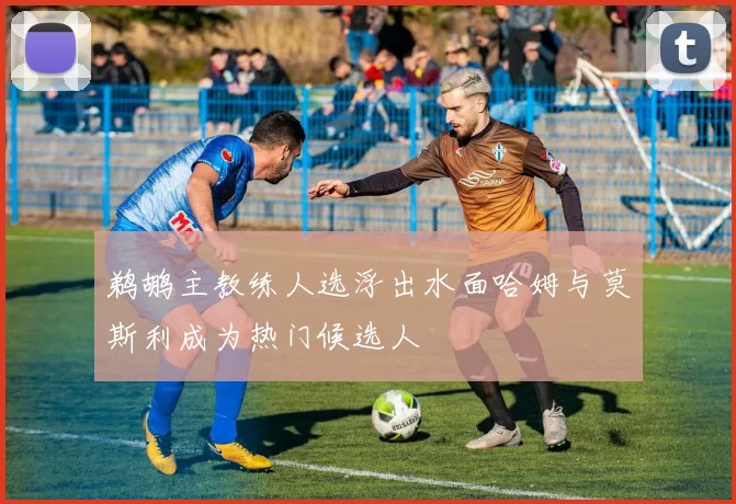 鹈鹕主教练人选浮出水面哈姆与莫斯利成为热门候选人